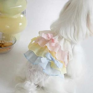 Hondenkleding Pet Rainbow Cute Lace Suspender Vest Cake Layer door rokkat Teddy kleding Kleding Puppy H240506