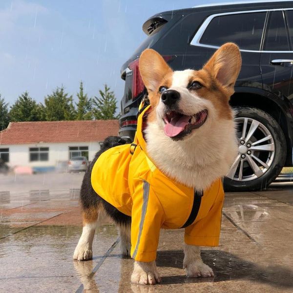 Vêtements pour chiens Imperméable pour animaux de compagnie pour petits chiens Manteau imperméable avec capuchon réfléchissant 4 saisons Universal PU Slicker Réglable Outdoor Mackintosh