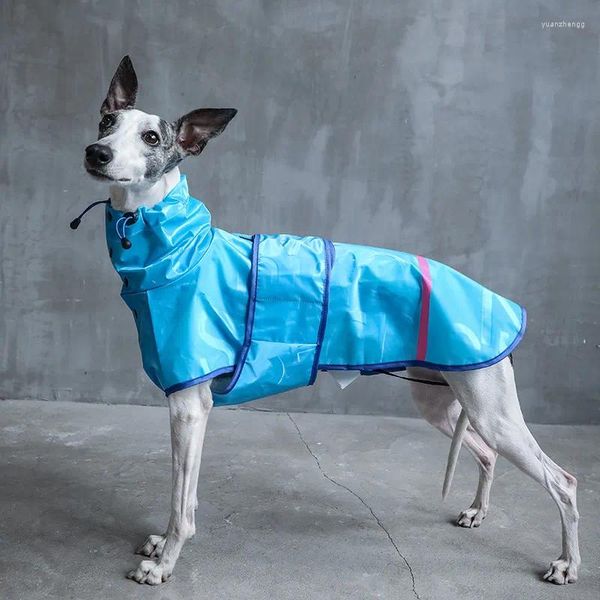 Vêtements de chien imperméable pour animaux de compagnie pour coupe-vent imperméable réfléchissant séchage rapide extérieur pluvieux approprié lévrier italien/Whippet
