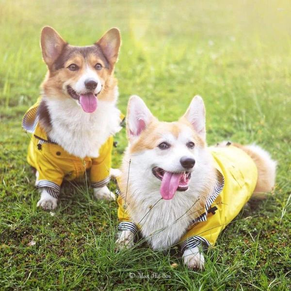 Vêtements pour chiens Manteau imperméable pour animaux de compagnie Veste imperméable douce Mode Petit Moyen Grand Chien Coupe-vent Sport Sweats à capuche Fournitures