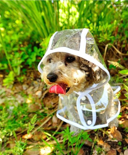 Vêtements pour chiens imperméable pour animaux de compagnie vêtements imperméables Transparent jour de pluie équipement de voyage en plein air veste à capuche respirante