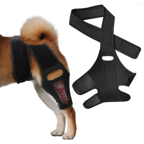 Vêtements pour chiens Ceinture de récupération pour animaux de compagnie Jambe de protection Genou Hanche Facile à installer Accessoires d'enveloppe de soutien