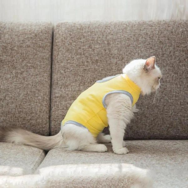 Vêtements pour chiens, combinaison de récupération pour animaux de compagnie, fibre acrylique, fabrication soignée, Anti-harcèlement, vêtements de protection pratiques pour stérilisation des chats