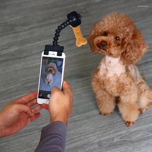 Hondenkleding Pet Selfie Stick for Dogs Cat Pography Tools Ball Holder Interactie Speelgoed Concentraat Training Levering Accessoires