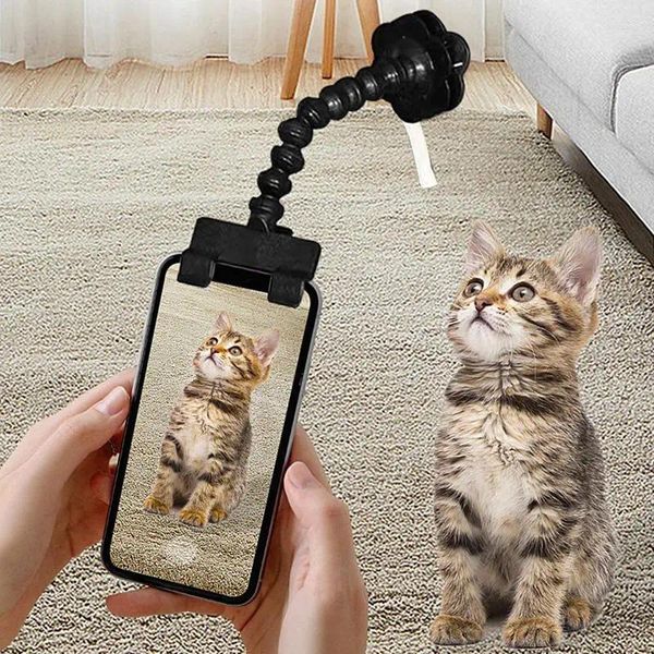 Appareils pour chiens Stick Selfie pour chiens POGRAMENTS CAT