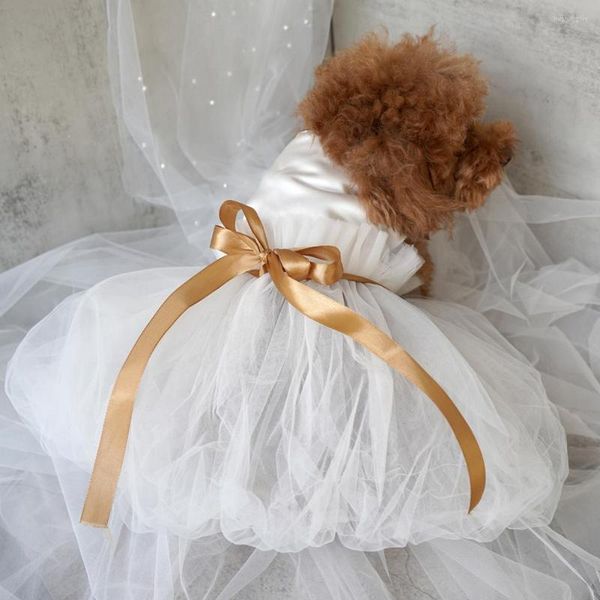 Vêtements pour chiens jupe pour animaux de compagnie belle ceinture à nouer robe de mariée petite fille moyenne chiens chiot blanc robes de princesse fournitures