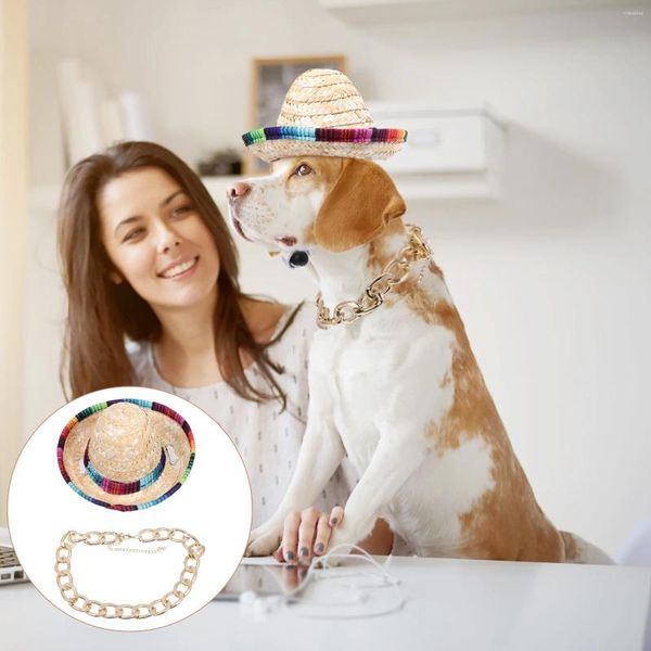 Appareils pour chiens Pierre Paille chapeau décoratif hawaii tenues d'ornement d'été chat golden collier chats chats mini ensemble de style mexicain