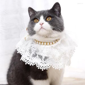 Vêtements pour chiens collier de perles pour animaux de compagnie collier perle Double couche dentelle bord bavoir chat maille écharpe accessoires pour chiot