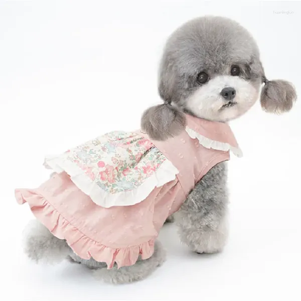 Ropa para perros Pet Clothing Summer Falda Caborrerra Cabeza pequeña vestida de pomeranio de Yorkie Maltés Poodle Bichon Schnauzer Cosutume 2024