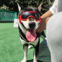 Hondenkleding huisdier zonnebril bril buiten anti-UV verstelbare winddichte oogslijtagebeschermingsglazen voor middelgrote grote accessoires