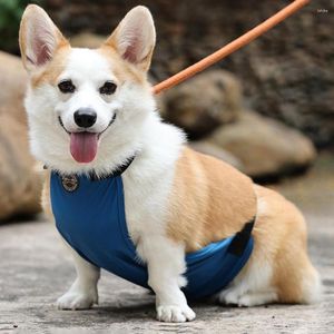 Vêtements pour chiens Fournitures pour animaux de compagnie Sac ventral Vêtements étanches et résistants à la saleté Bavoir extérieur Petit moyen