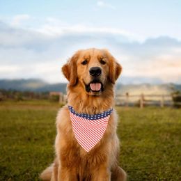 Appareils pour chiens Supplies pour animaux de compagnie pour les petits chiens dans les accessoires de soins de chaleur Bib ajusté Greyhound italien