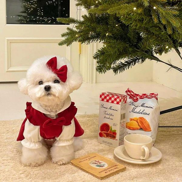 Ropa para perros Suministros para mascotas Pequeña princesa Falda Otoño e invierno Pequeño Tamaño mediano Cachorro Gato Ropa Bowknot Vestido dulce