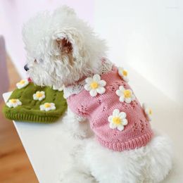 Vêtements pour chien pull de compagnie chat sweat à sweat à sweat à sweat décontracté ventre de tricot décontracté chiot hivern