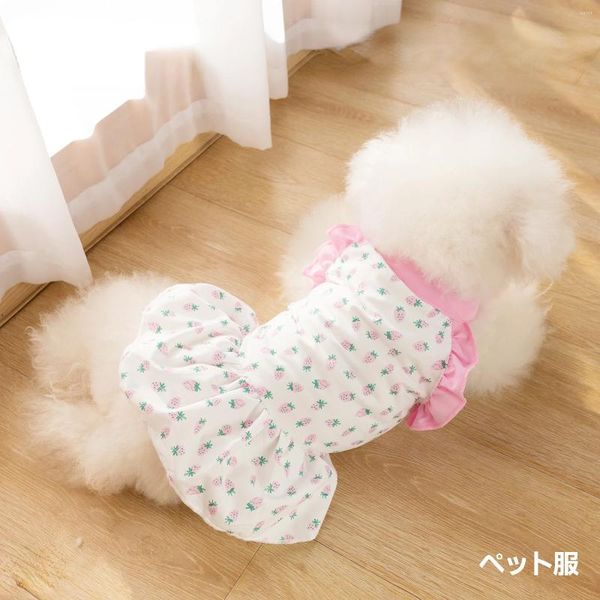 Vêtements de chien Pet mince ours en peluche petit printemps fraise dentelle princesse vent jupe vêtements chiot robe d'été vêtements de luxe