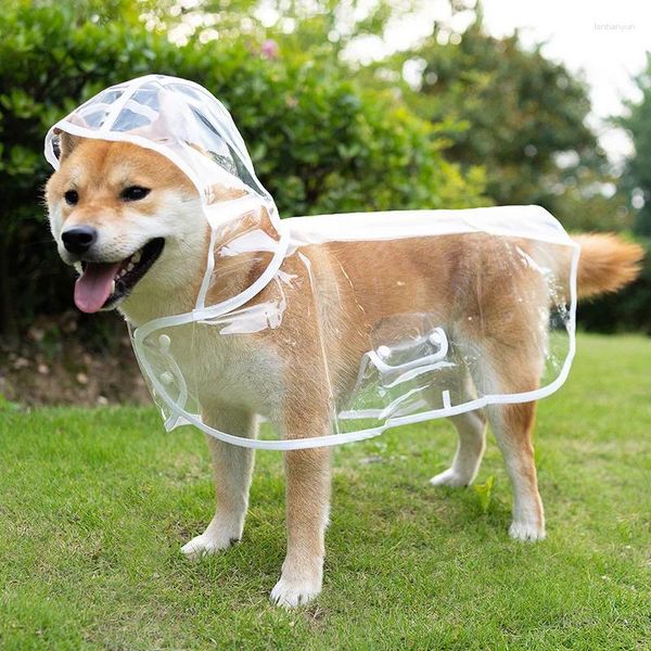 Vêtements pour chiens animal arc transparent cagoule étanche veste en veste de veste moelleuse pvc petit chiens chiot poncho poncho