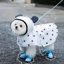 Appareil chien animal transparent transparent avec une veste étanche Poncho Poncho pour les petits chiens moyens en gros en gros
