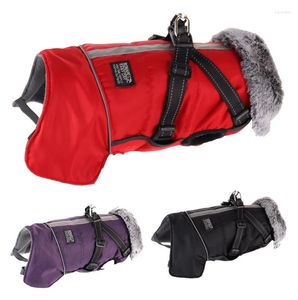 Ropa para perros mascota cuello de piel tibia ropa acomodada de algodón impermeable chaqueta retrospectiva de pecho desmontable otoño de invierno