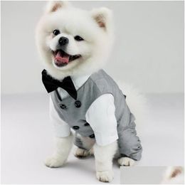 Vêtements pour chiens animal de mariage d'anniversaire de fête de fête de fête