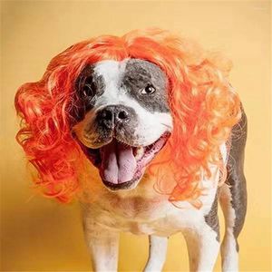 Hondenkleding Pet Wigs Cosplay Props Hoofdtooi Halloween Hoofdtraden Kleed Cat Wig Accessoires Accessoires Leveringen