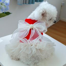 Hondenkleding Pet Winter Pearl Lace Gauze rok Producten Kleding Kostuum Prinses Dress Teddy Bear Redr Feestelijk