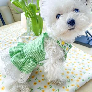 Vêtements pour chiens PETCIRCLE Vêtements Mini Green Check Sun Robe pour petit chiot Pet Cat Summer Costume Mignon Costume Jupe Manteau