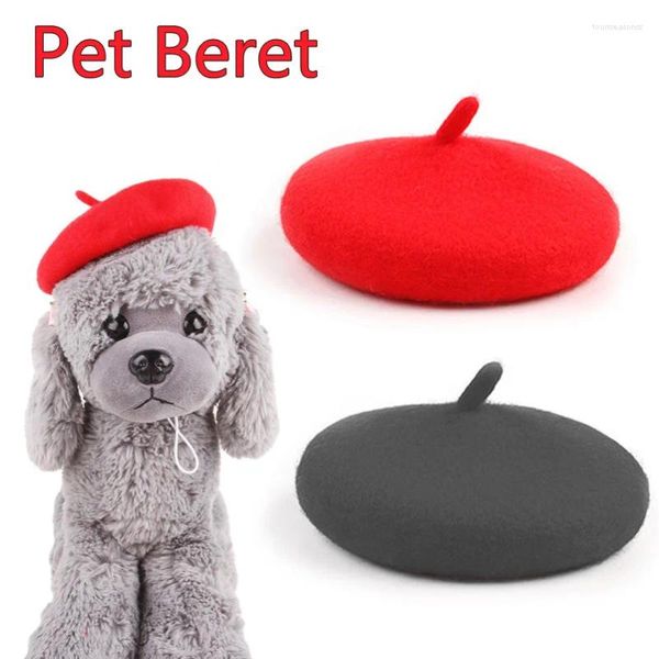 Vêtements pour chien animaux de compagnie accessoires de toilettage habillement capeur mignon béret mini casseur de chat décoratif chiot peintre en feutre