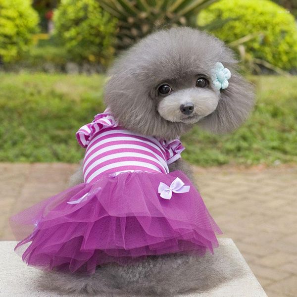 Chien vêtements animaux de compagnie rayure arc robe noeud rayé chiens chats vêtements d'été jupe petit Chihuahua chat Tulle dentelle col à volants