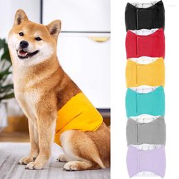 Vêtements pour chiens Pantalons physiologiques Couches imperméables hygiéniques lavables pour hommes culottes menstruelles shorts sous-vêtements slips grands chiens ceintures