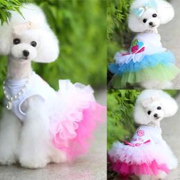 Vêtements pour chiens Robe de princesse rose Chiot Vêtements d'été Jupe Sweety Mesh Dentelle Petits chiens moyens Fournitures de produits pour animaux de compagnie