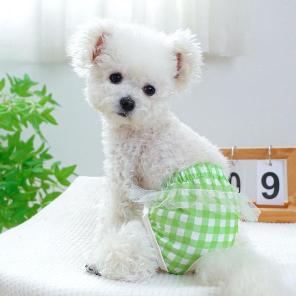 Chien Vêtements Plaid Dentelle Coton Pet Physiologie Pantalon Shorts Chat Sous-Vêtements Chiot Mignon Couche Bord Sanitaire Slip Pantie Chihuahua