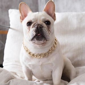 Appareils pour chien Plastique Punk Neck Chain Pet Collar Fashion Collier de chiot plaqué or argent d'or réglable pour chat pour chat