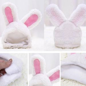 Vêtements pour chiens en peluche, chapeau de chat, jeu de rôle, vêtements pour animaux de compagnie, bandeau Kitty Teddy, couvre-chef d'anniversaire et de noël