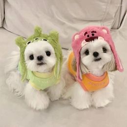 Vestimenta de ropa de perro gorro de mascotas de invierno lindo oso de dibujos animados para perros para pequeños productos de Yorkshire terrier accesorios para tocadores