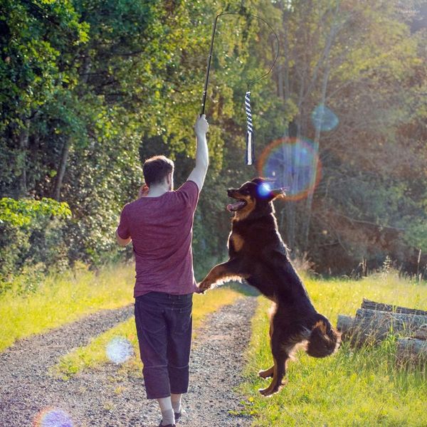 Vêtements pour chiens pôle chiens pour S Teaser Tugextensible guerre interactive de la queue de chiot pour animaux de compagnie chassant la formation d'équipement de baguette de printemps