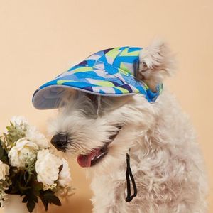 Dog Apparel Poshoot Divers Styles Bowknot Pattern Peaked Hat Travel Accessoire