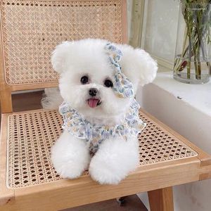 Prévente de vêtements pour chiens le 29 mars après la distribution des vêtements pour animaux de compagnie. Jupe élastique florale de printemps, ours en peluche chat.