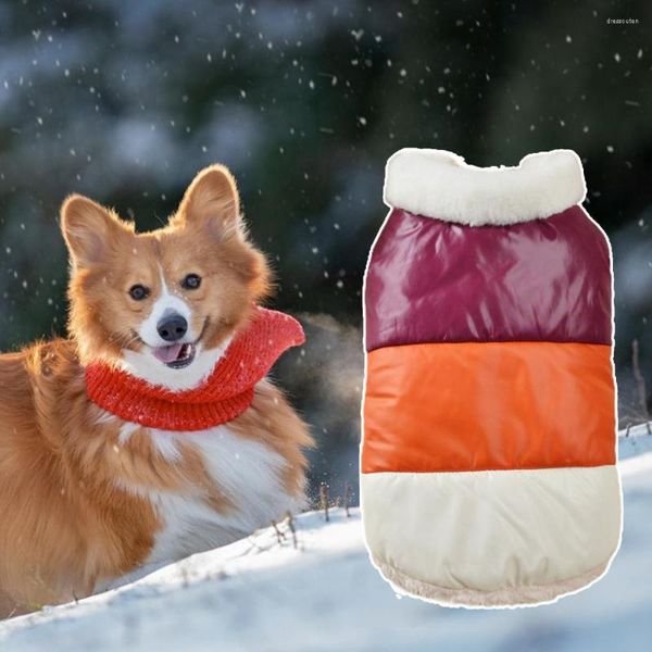 Vêtements pour chiens Joli manteau pour animaux de compagnie Habillage attrayant Anti-chute Correspondance des couleurs