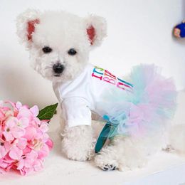 Vêtements de chien assez douce texture œillet accrocheur lettre d'ourlet moelleuse imprimer pour animaux de compagnie anniversaire robe en tulle décorative