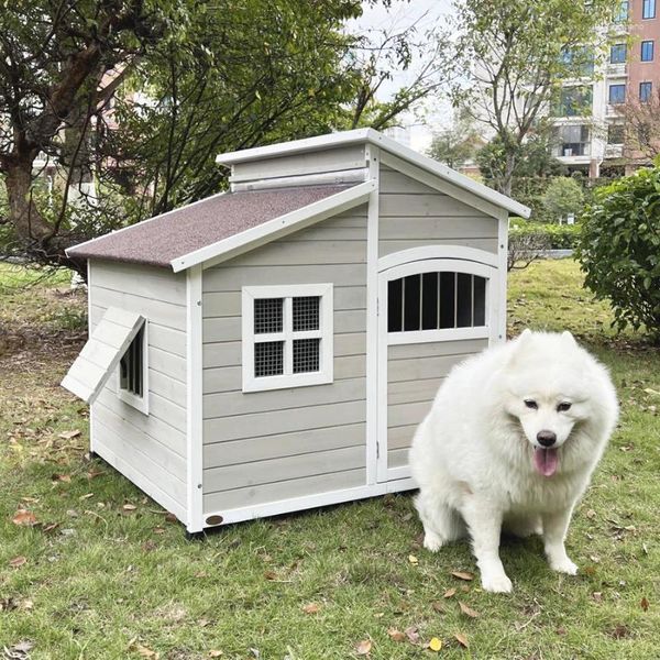 Protección de prendas de perro Golden Retriever Samoyed Large Sold Soil Rural Outdoor Patio Villa Room