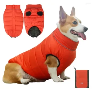 Hondenkleding puffer grote honden kleding vest mop pug Franse stieren jassen winterjas voor kleding kostuum jas benodigdheden huisdier