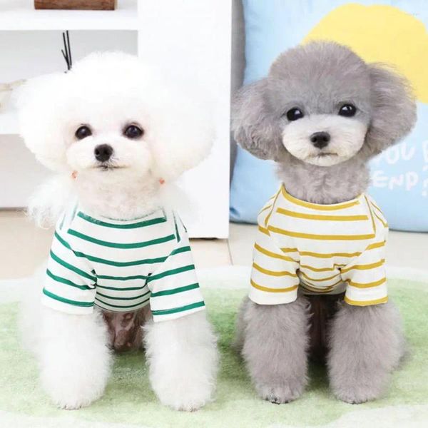 Ropa para perros Jersey elegante lavable gato chaleco dibujos animados oso patrón mascota verano rayado desgaste diario