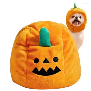 Costume de citrouille pour chien Halloween Halloween Soft Portable Hearthrest For Holiday Party Cosplay Migne Pet Pet Daily