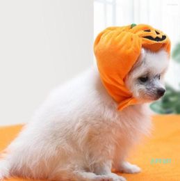 Ropa para perros Calabaza Halloween Disfraz travieso Sombrero Lindo Gorro para mascotas Animal Headwear Cosplay Ropa Po Prop Productos 011