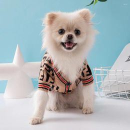 Vêtements pour chiens Accessoires pour chiots Automne Hiver Styles Vêtements pour animaux de compagnie Chats Chiens Denim pour petit fournisseur de pull de taille moyenne