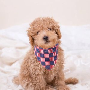 Vêtements pour chiens Chiot Drapeau américain Bandana pour animaux de compagnie Jour de l'indépendance Triangulaire Bavoir Décor de vacances