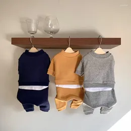 Vêtements pour chien chiot de dessin animé des vêtements d'été à la maison pour animaux de compagnie en peluche