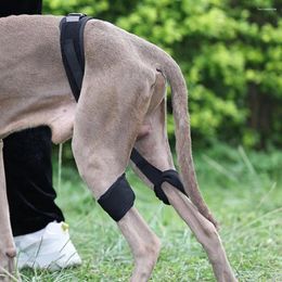 Appareils à chien chiot tampon de genou support réglable de soumission protéger les articulations blessées de l'animal avec cette pellicule pour les petits chiens moyens moyens