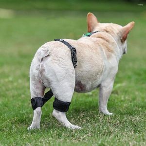 Vêtements de chien Chiot Genouillère réglable Brace pour petits chiens de taille moyenne Support de jambe d'animal de compagnie Protecteur de blessure de chien