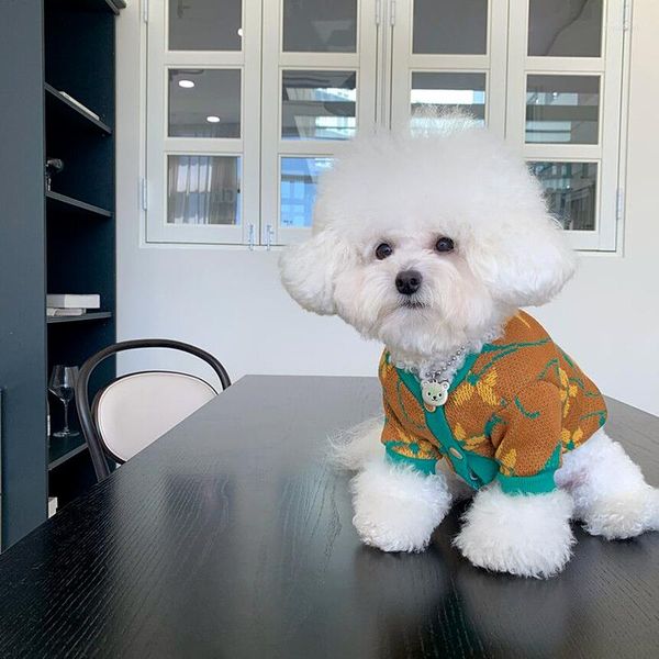 Ropa para perros Cachorro Flor amarilla Suéter Teddy Botón de punto Hasta Malzis Ropa de invierno cálida Piernas de mascotas Productos